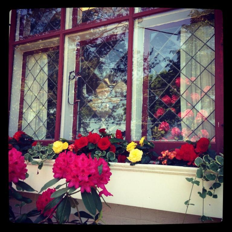 Belgravia B&B Truro Zewnętrze zdjęcie